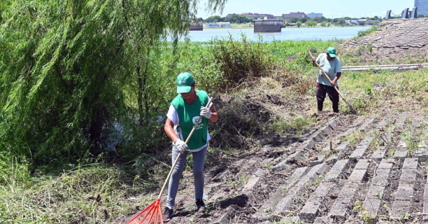 Servicios de desmalezado y limpieza programados para esta semana en la Ciudad de Santa Fe
