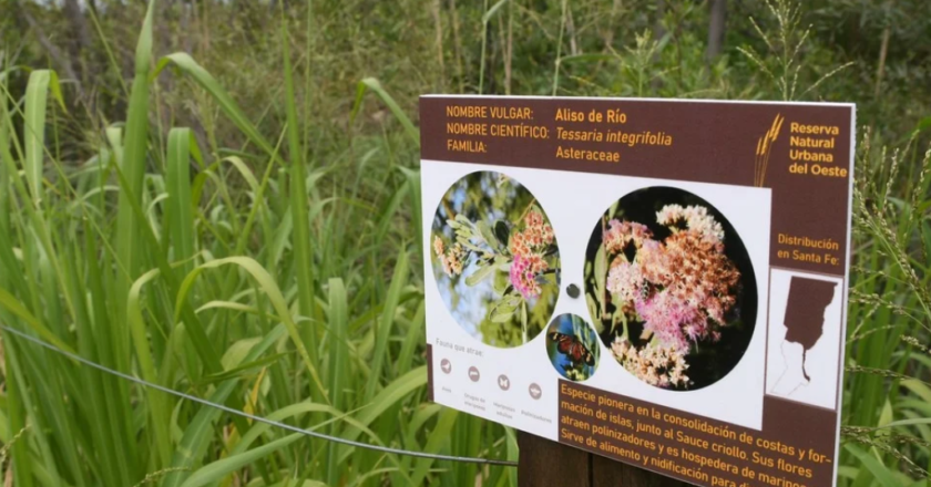 Durante febrero se realizarán visitas guiadas gratuitas a los humedales de Santa Fe