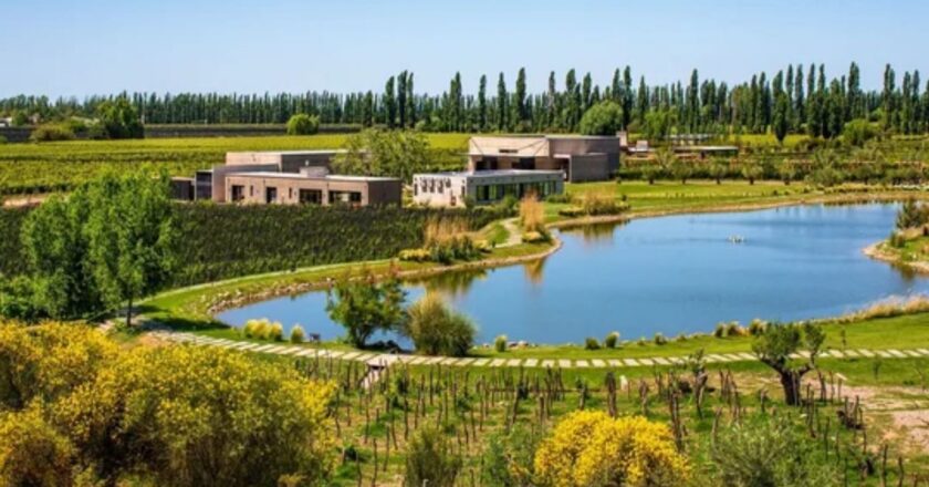 Ruta del Vino: las 10 mejores bodegas para visitar en Argentina
