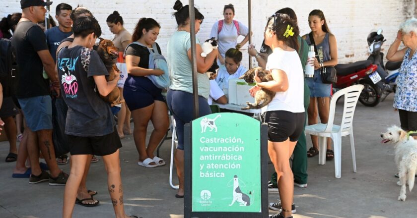 En el Mes del Animal: IMUSA realizó más de 15.000 atenciones