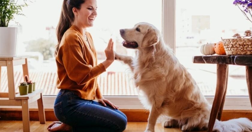 Los efectos positivos en la salud y el estado de ánimo de tener un perro