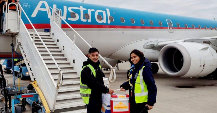 Cudaio: Santa Fe tuvo nueve procesos de donación en una semana