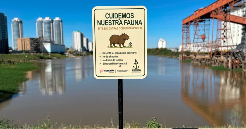 Piden protección para los carpinchos del Puerto de Santa Fe