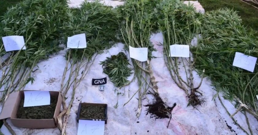 Condenaron a cinco años de prisión a un vendedor de drogas en Villa Cañás