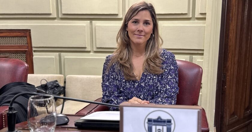 Diputados dio media sanción al proyecto de Salud Mental Perinatal