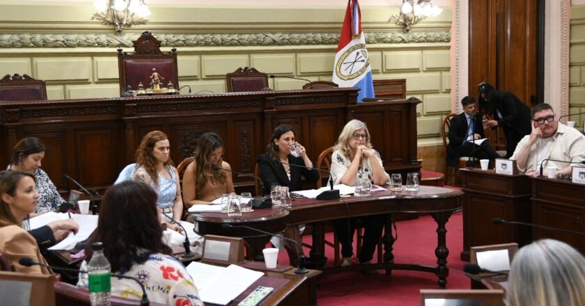 Debate por la complejidad del proyecto de emergencia en salud mental