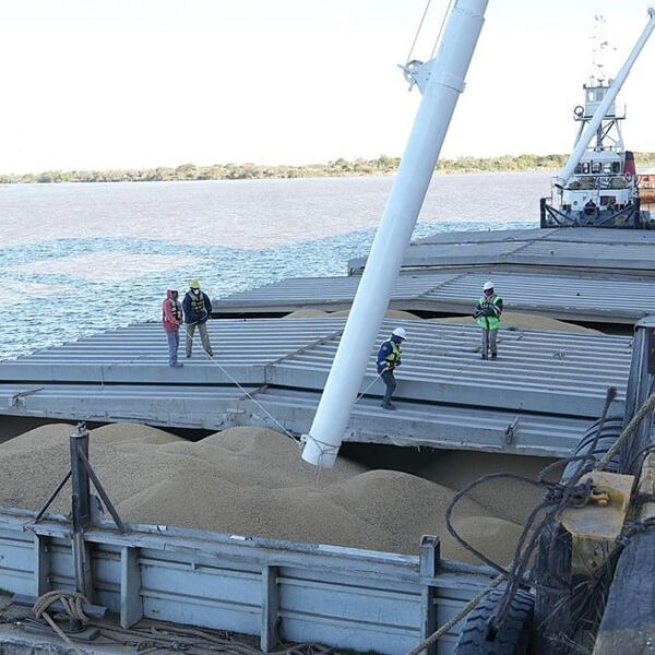 El Puerto de Santa Fe despachó 8.000 toneladas de soja