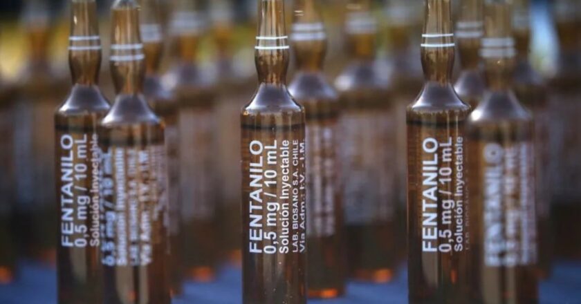 Causa fentanilo contaminado: la ex titular de ANMAT ampliará su declaración indagatoria