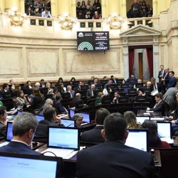 Senado: los votos de Losada, Galaretto y Lewandowski ante la Ley de Propiedad Privada