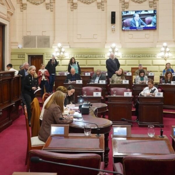Seguridad en Santa Fe: Diputados concluyó la ronda de consultas sobre las reformas a las leyes