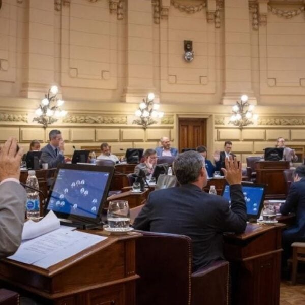 Debate en la Legislatura por leyes de violencia de género y el rol del MPA