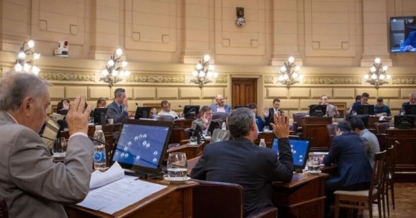 Debate en la Legislatura por leyes de violencia de género y el rol del MPA